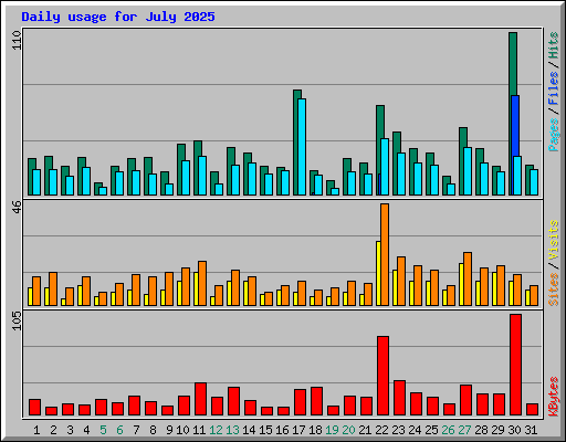 Daily usage for July 2025