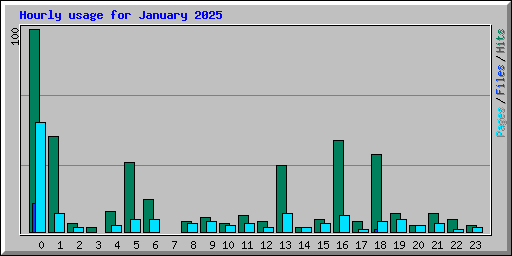 Hourly usage for January 2025