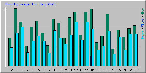 Hourly usage for May 2025