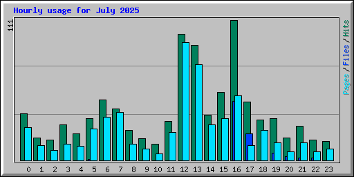 Hourly usage for July 2025